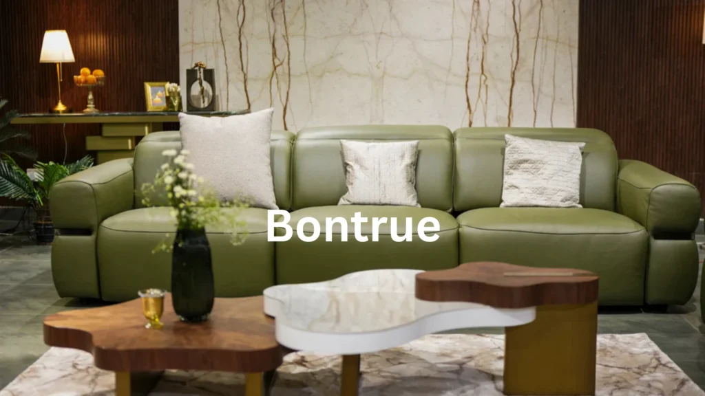 Bontrue furniture